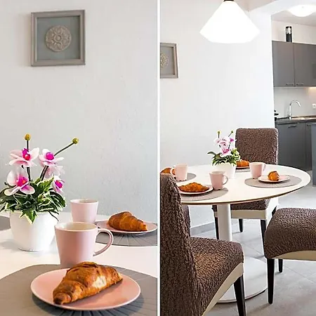 Olive Tree 4* Спліт