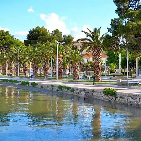 Hotel Olive Tree