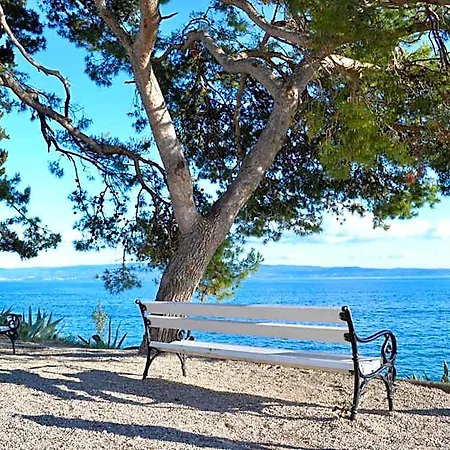 Olive Tree Готель